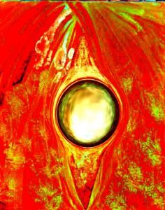 Art_numerique de Andre Temoin: La cupidité