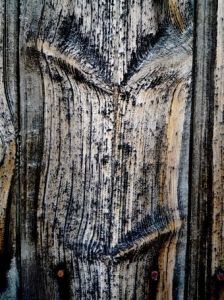 Photo de DANIEL FAGES: Une beauté de porte aux traits marqués