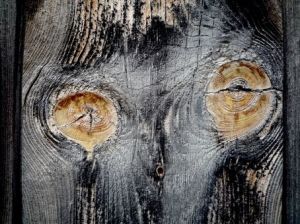 Photo de DANIEL FAGES: Les yeux par le chambranle