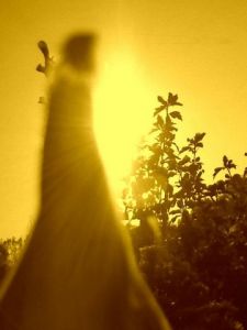 Photo de DManiac: lumino2