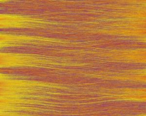 Art_numerique de raymond la motte: Vague de Terre