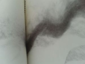 Dessin de Lie Caseiro or  natalicaseir