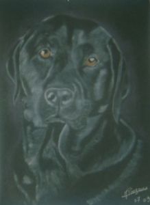 Dessin de elisabeth rouzaire: labrador