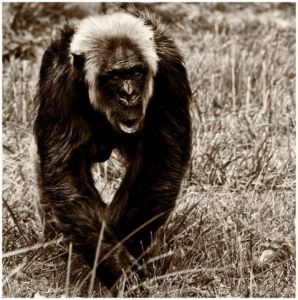 Photo de gil: le vieux