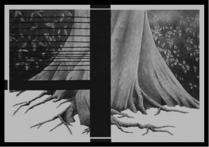 Oeuvre de artahmed: Adaptation