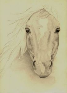 Dessin de Claudine Friant