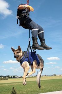 Photo de Sebastien Bazin: Pompier et chien