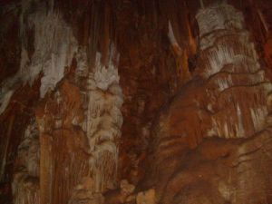 Photo de ALIOXIS: LE BIEN LE MAL EN IMAGE