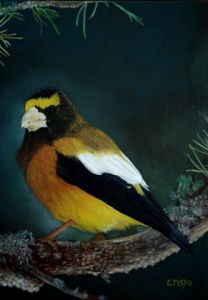 Peinture de Crispo JY: Gros bec errant