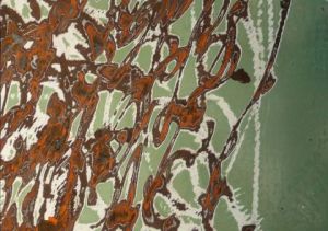 Photo de gerard gentou: FER 2