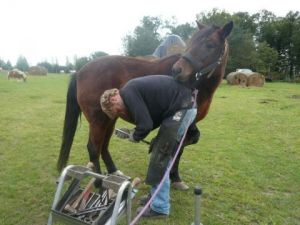 Photo de SYLVIANE CASCARINO