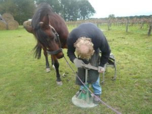 Photo de SYLVIANE CASCARINO