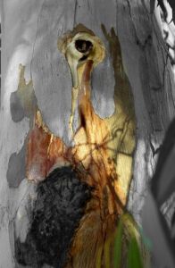 Photo de Paul BENICHOU: L'arbre héron