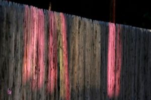 Photo de isad: surprise