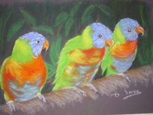 Dessin de Dany SERVA: Oiseaux exotiques