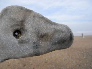 Photo de Paul BENICHOU: le Dinosaure 