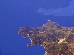 Photo de Paul BENICHOU: le chien 