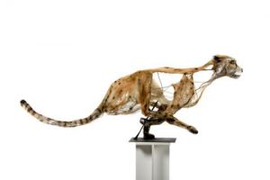 Sculpture de Breval: guépard 5