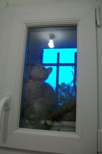 Photo de JJ: NUIT D'ETE 2011