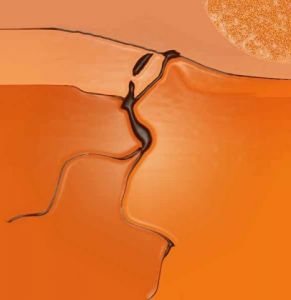 Art_numerique de ddtmoin: Chasseresse