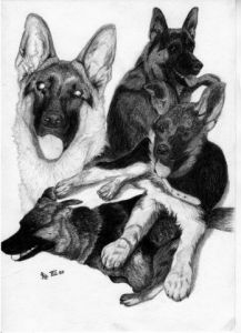 Dessin de Emde: Ethan