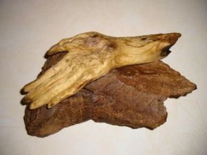 Sculpture de veronique sergent: destin