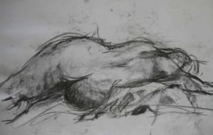 Dessin de anna matt: nu couché