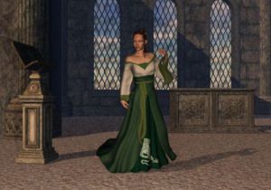 Illustration de lacourly: Le château de la magicienne