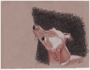 Dessin de AS: Petit chien