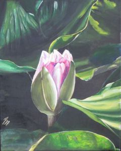 Peinture de annie massollo: Le Bouton de Nénuphar Rose
