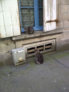 Photo de Marie  BECQUET