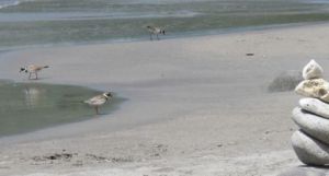 Oeuvre de MARIE INDIGO: Equilibre 1 et un autre public