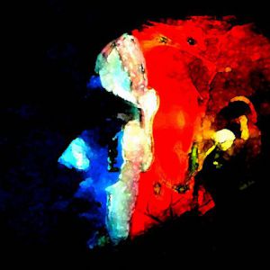 Art_numerique de Dom: zak