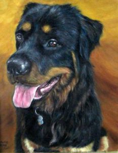 Oeuvre de Johanne Hinse