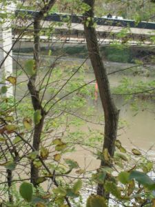 Photo de laureweber: seine le 11 novembre 2013