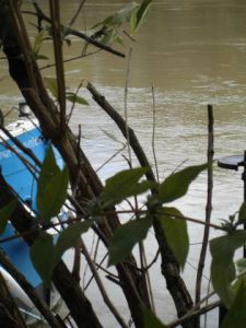 Photo de laureweber: seine le 11 novembre 2013