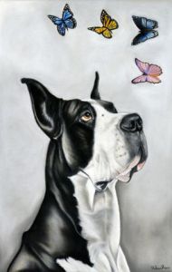 Dessin de Helene Roux: Dogue Allemand et Papillons