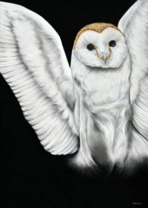 Dessin de Helene Roux: Rapace nocturne