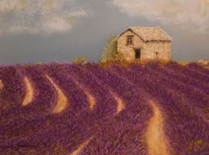 Peinture de Etienne Guerinaud : Champ de lavande