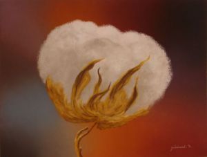 Peinture de Etienne Guerinaud : Fleur de coton