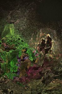 Art_numerique de Agnes Kerboriou: Troll et Trolette dans leur jardin de rocaille