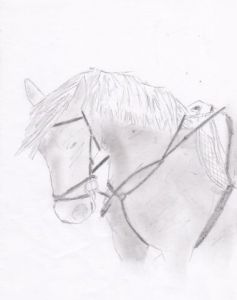 Dessin de kraknoux: Cheval harnaché