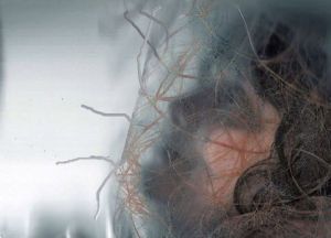 Art_numerique de domi roca: chemins de vie