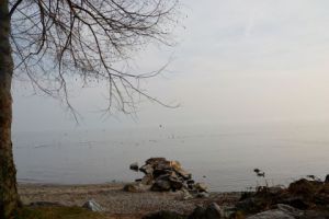 Photo de Kensha: Rive du Lac