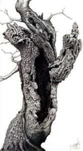 Dessin de YVES INGELS: LES HOTES DE CE BOIS