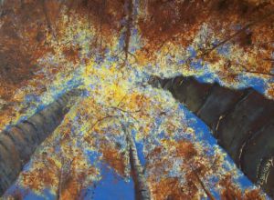 Peinture de Christian Bligny: Eté Indien