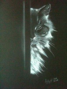 Dessin de PATRIK: JULES