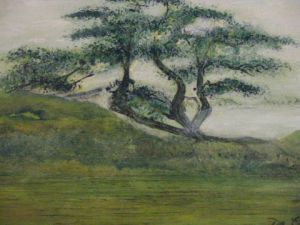 Oeuvre de delaro600: Bonsay