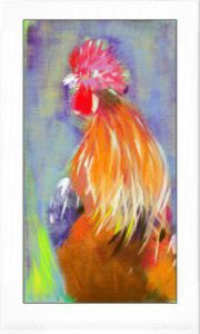 Art_numerique de Jacky Patin: Le coq