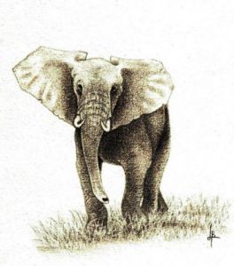 Dessin de Lorenzo De La Vega: L'Adoléphant